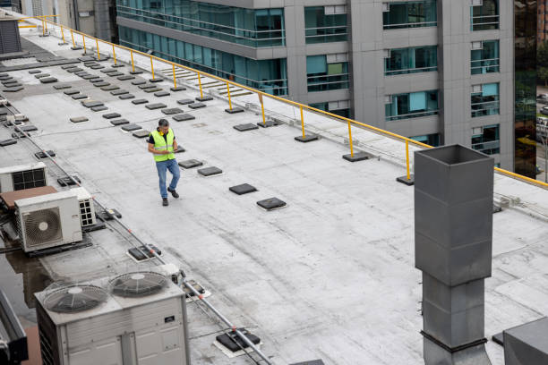 Best 4 Ply Roofing  in Brainerd, MN