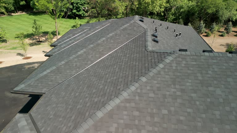 Best Skylight Installation and Repair  in Brainerd, MN