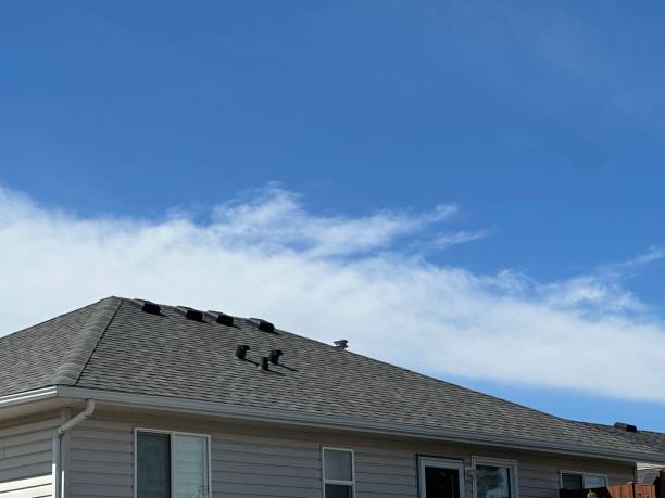 Best Roof Insulation Installation  in Brainerd, MN